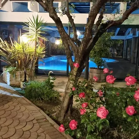公寓 Comfort - Appartment - Pool *