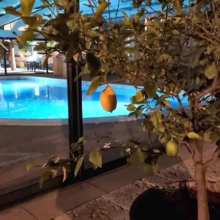 Comfort - Appartment - Pool