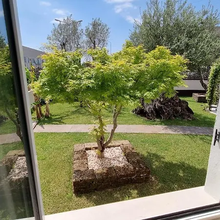 Comfort - Appartment - Pool Apartmán
